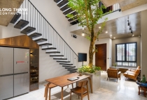 Tổng hợp 10 loại cây thân gỗ đẹp cho không gian nhà phố