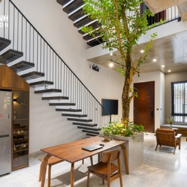 Tổng hợp 10 loại cây thân gỗ đẹp cho không gian nhà phố